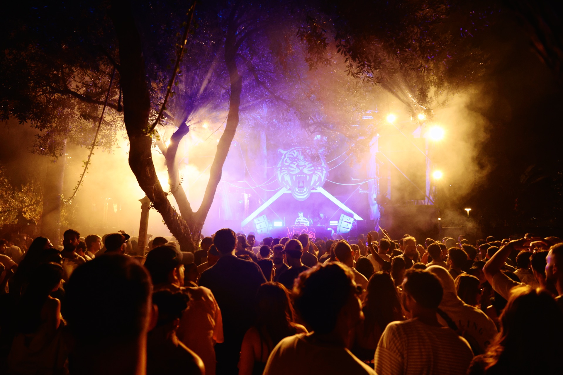 MESS JUNGLE TRIP — 201