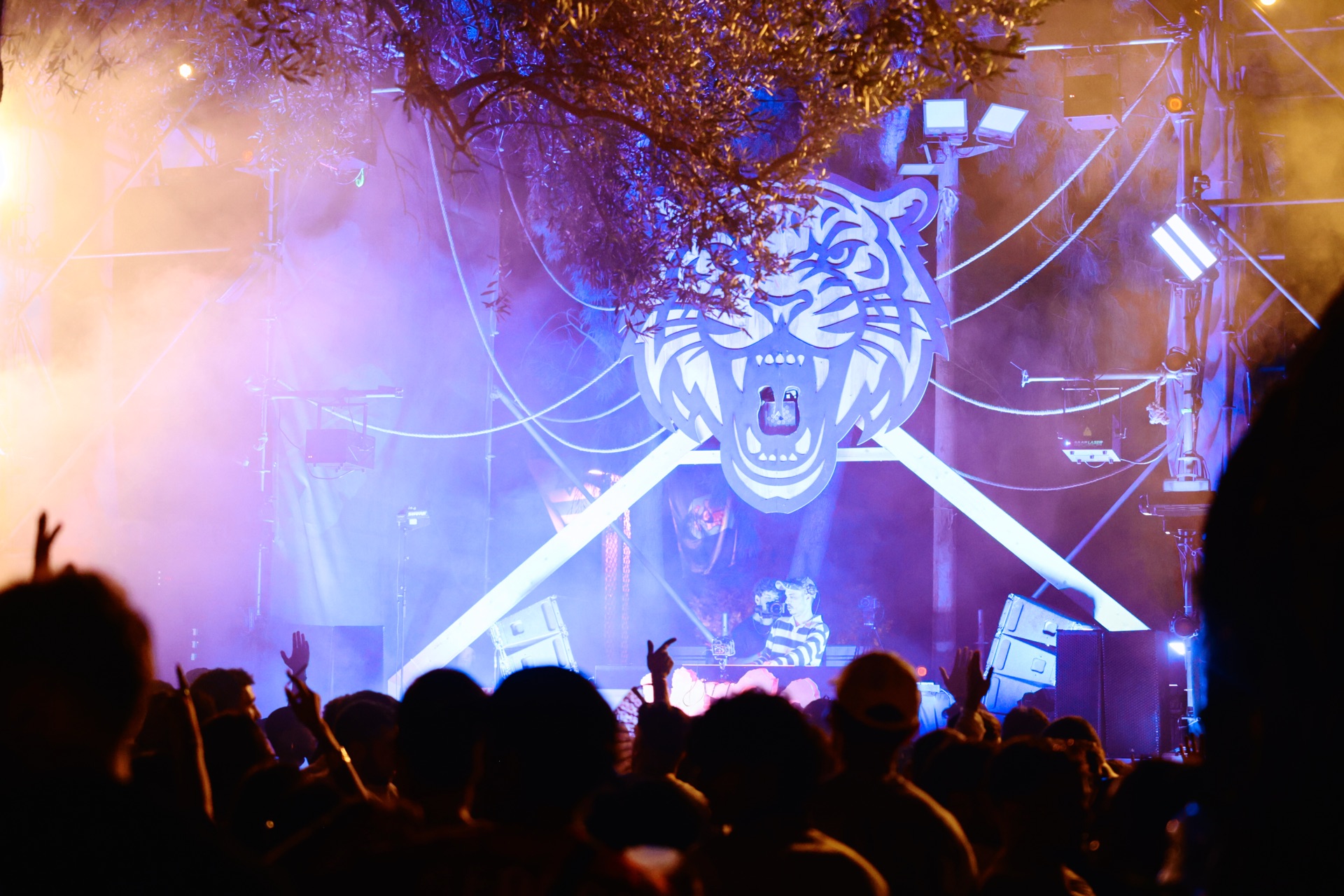 MESS JUNGLE TRIP — 203