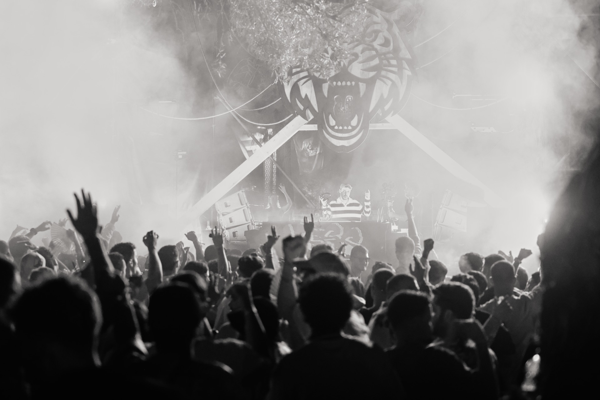 MESS JUNGLE TRIP — 204