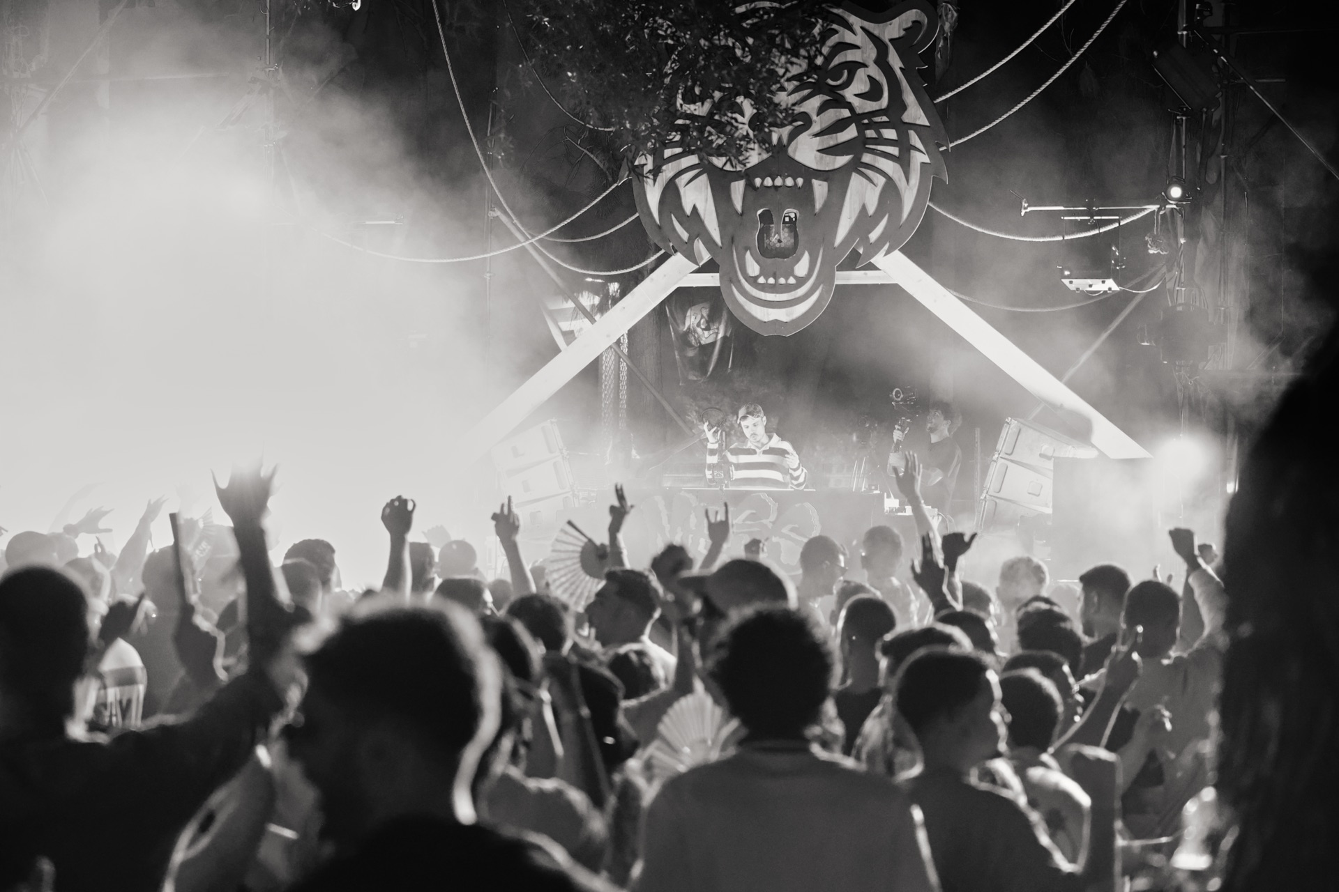 MESS JUNGLE TRIP — 205